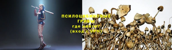 дмт Алзамай