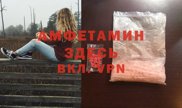 дмт Алзамай