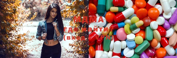 дмт Алзамай
