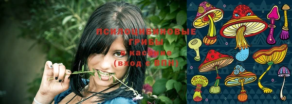 спайс Абинск